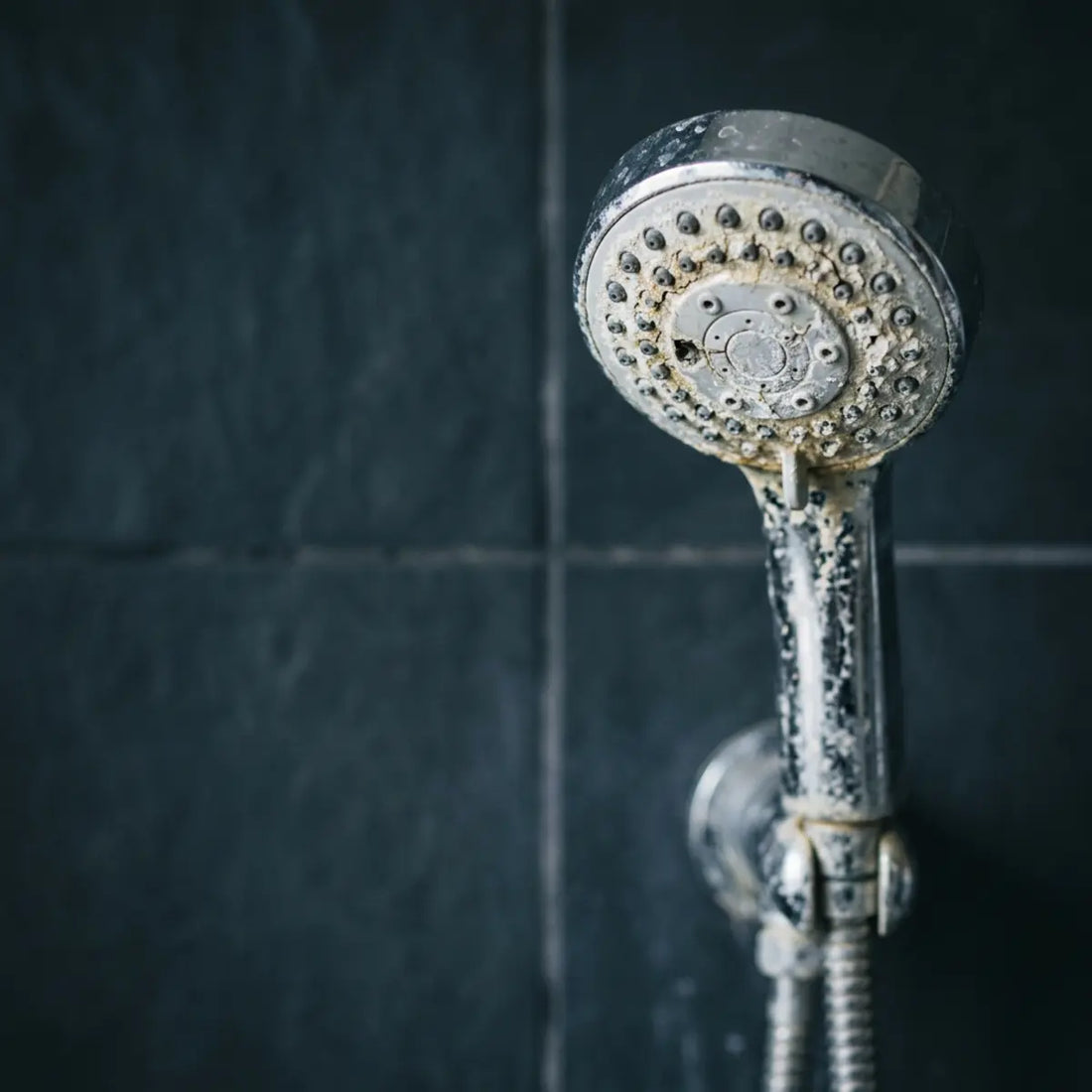 We Investigated Showerhead Biofilm in Hard Water Homes