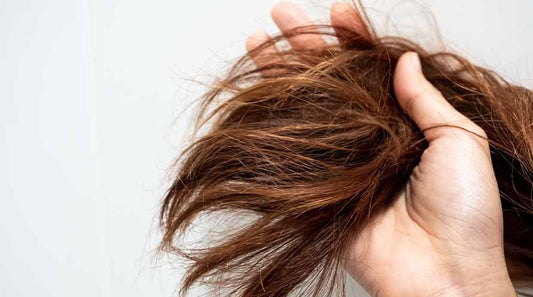 Best Shower Water Softener for Apartments