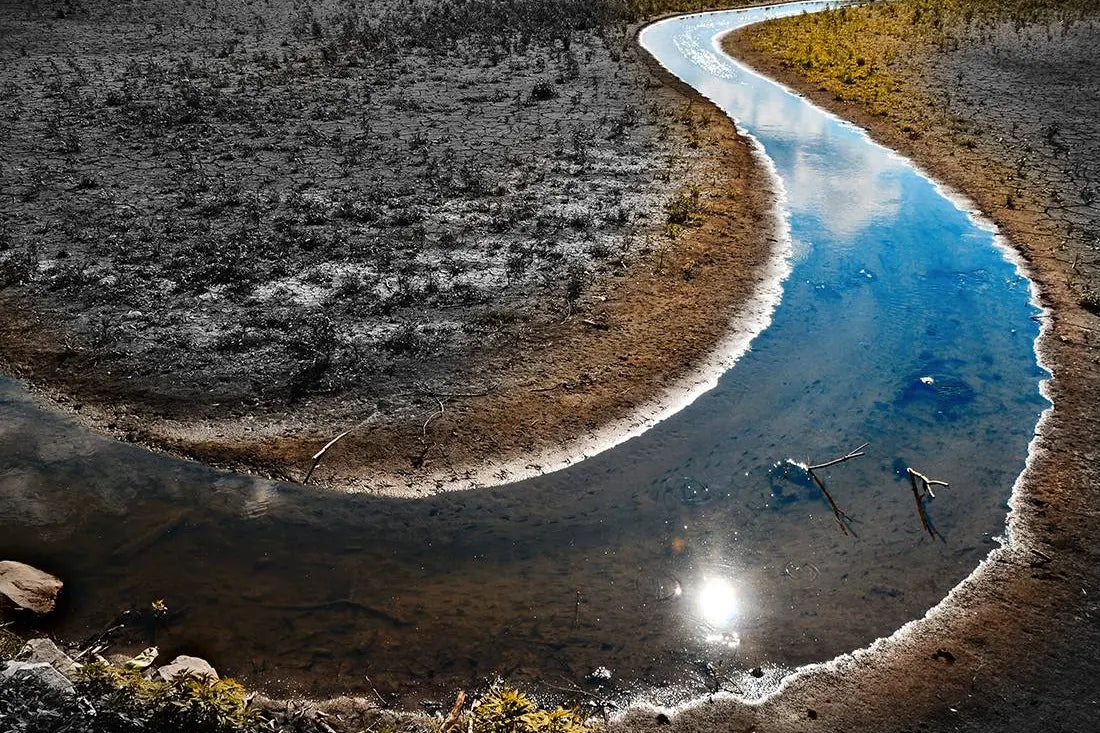 A river polluted by organic contaminants