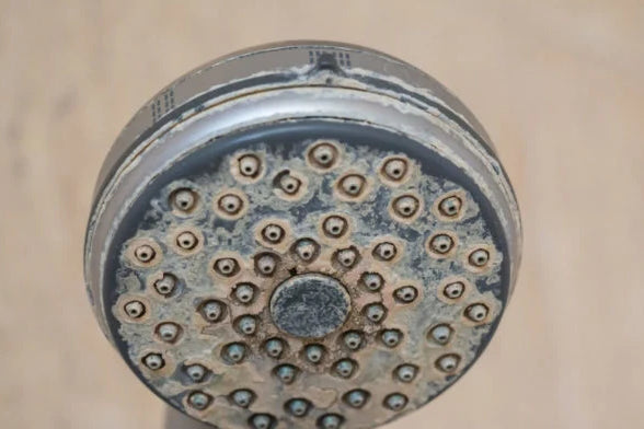 hard-water-build-up-on-a-old-showerhead