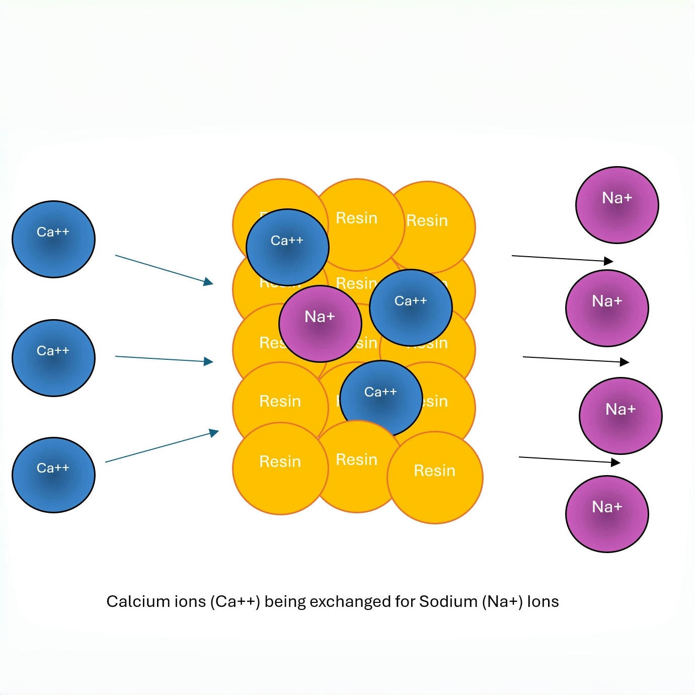 How the Shower Softener System Works: Ion Exchange